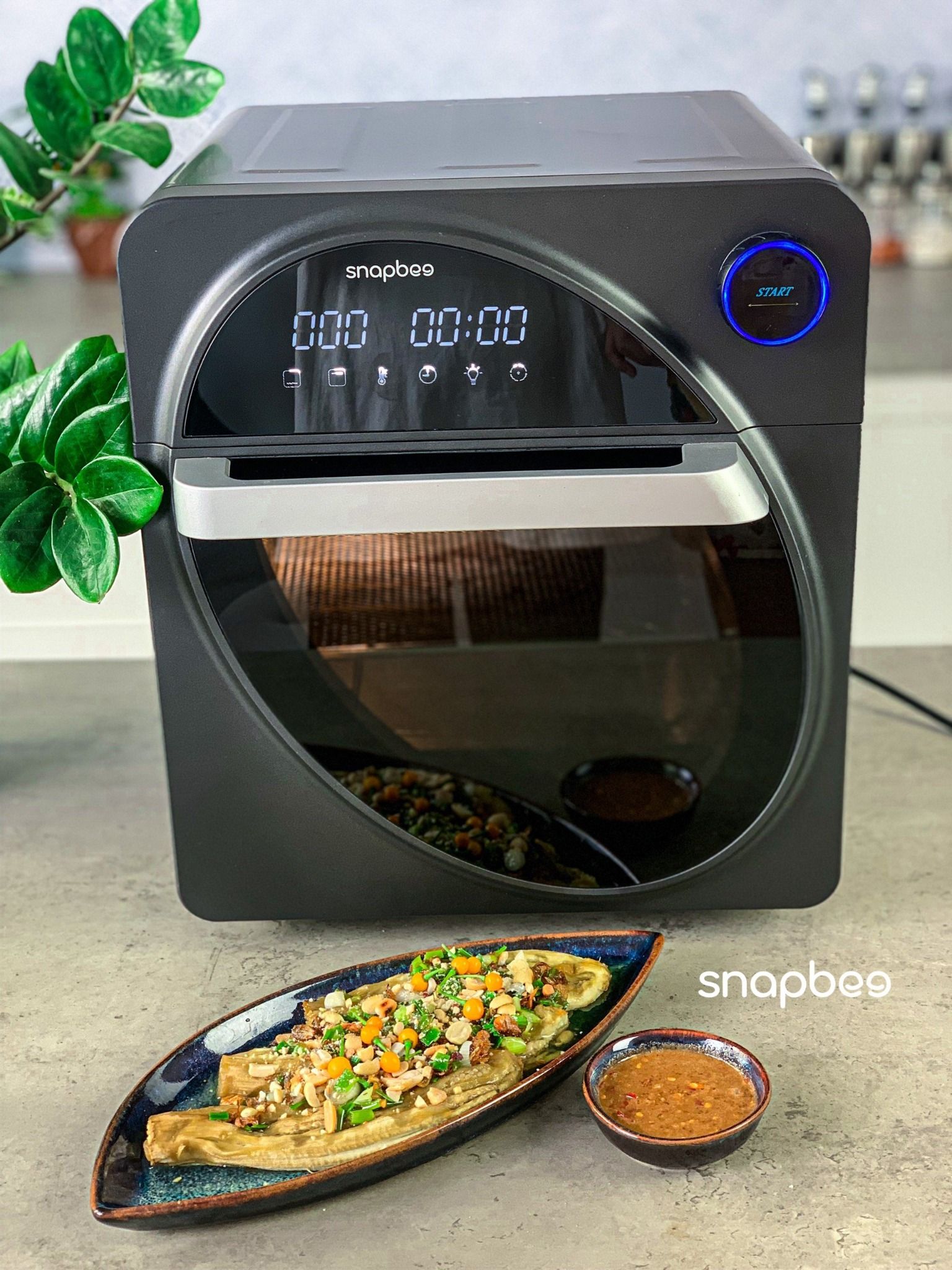 Snapbee - Nồi chiên không dầu RF15