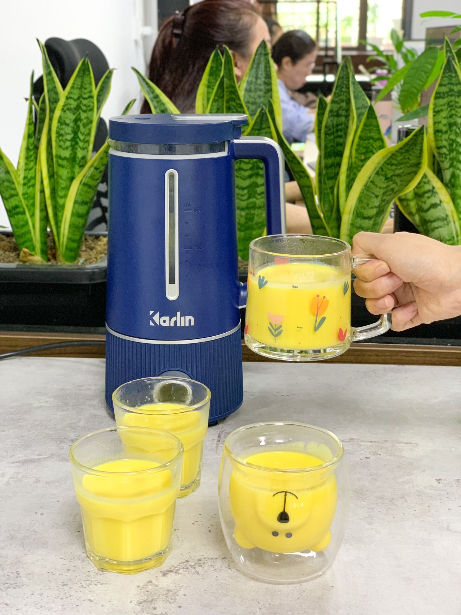 Karlin - Máy nấu sữa hạt