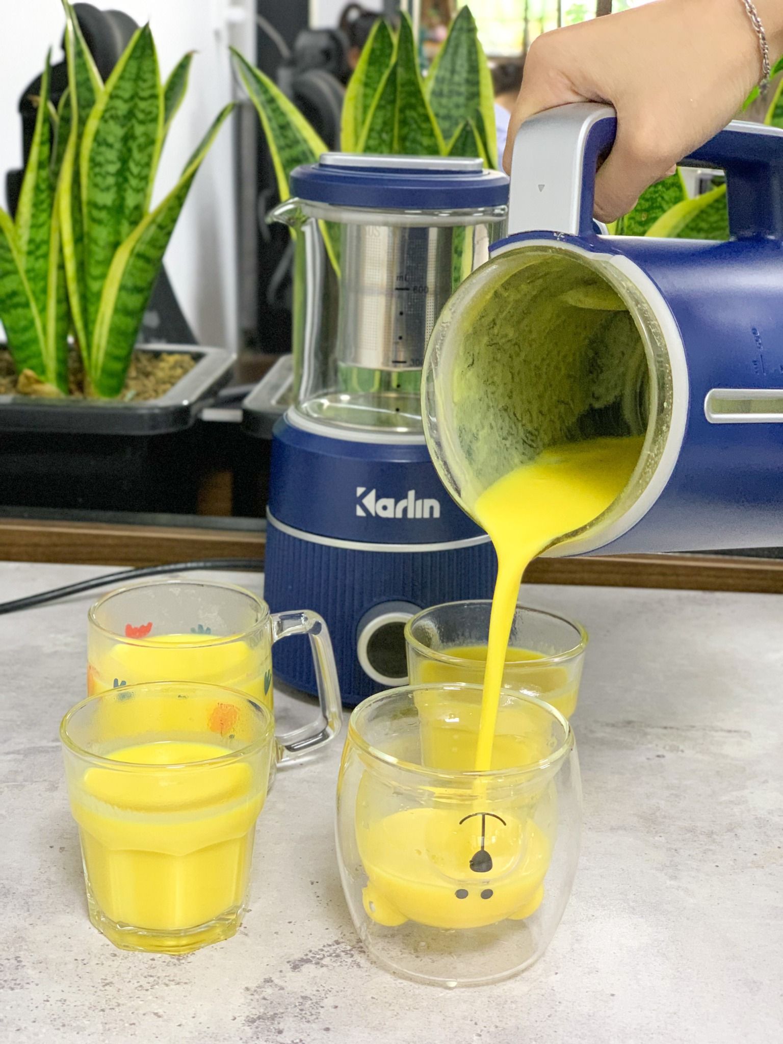 Karlin - Máy nấu sữa hạt