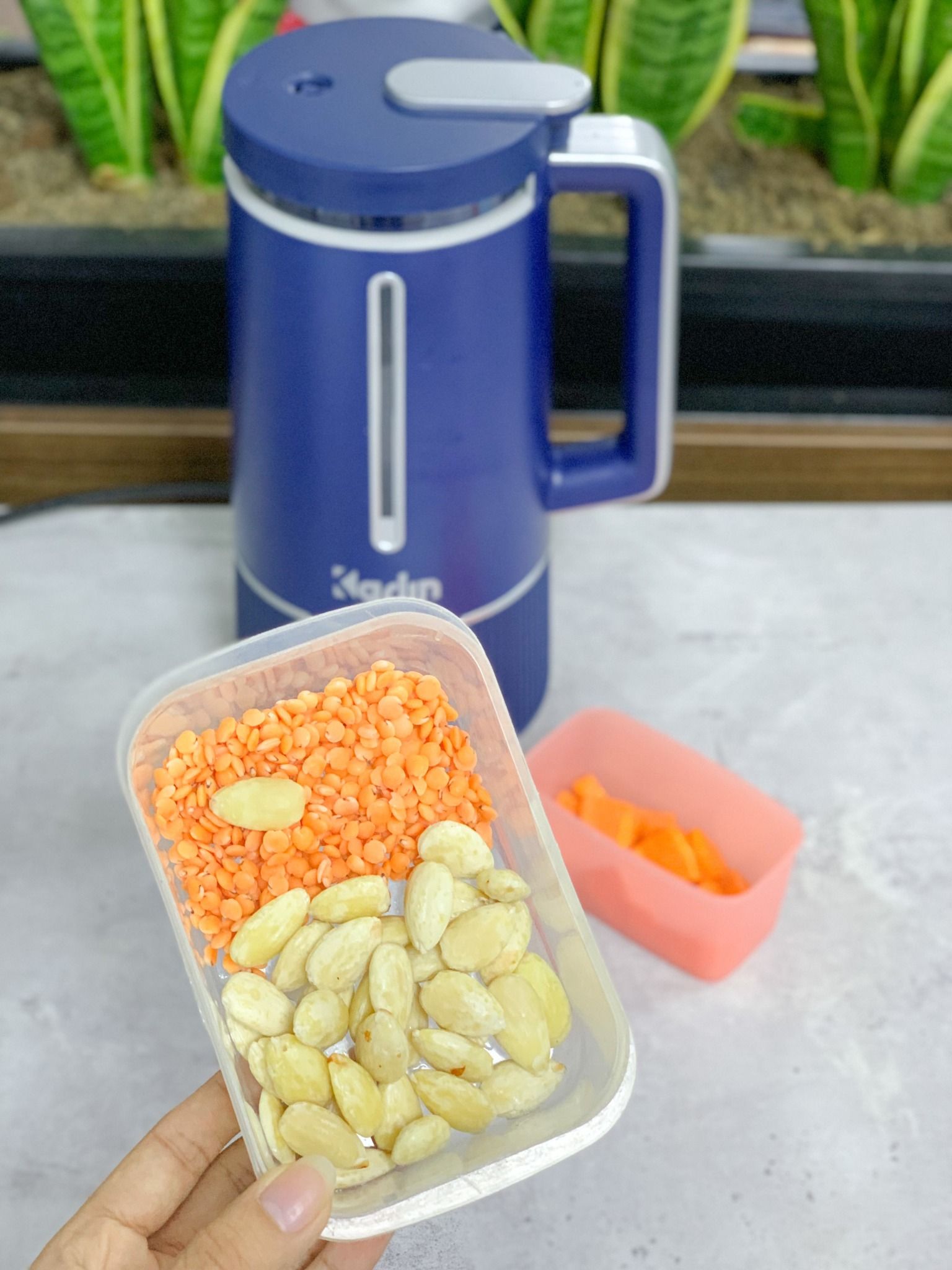 Karlin - Máy nấu sữa hạt