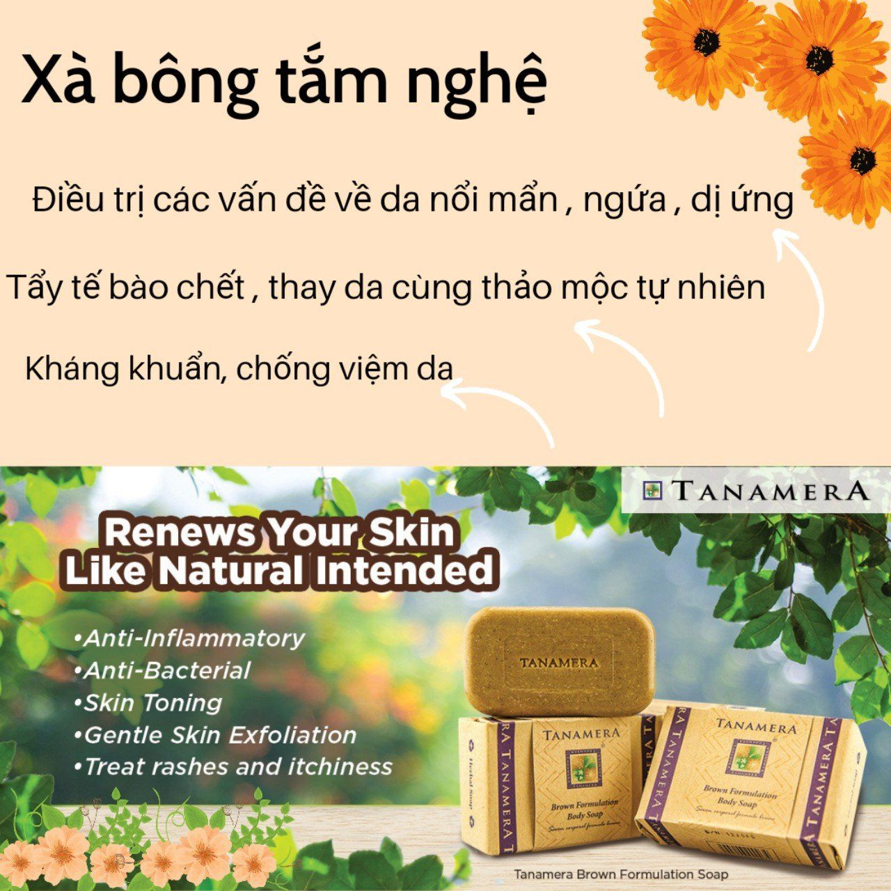  E.M Tanamera Mommy Box 