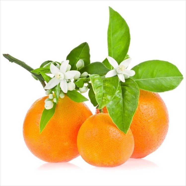 E.M Tinh dầu cam Neroli Tanamera