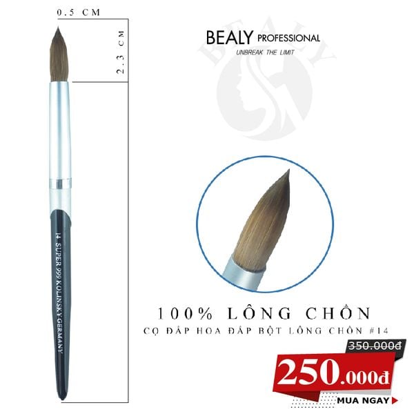CỌ MÓNG ĐẮP BỘT HOA LÔNG CHỒN CÁN BẠC ĐEN #14 BEALY