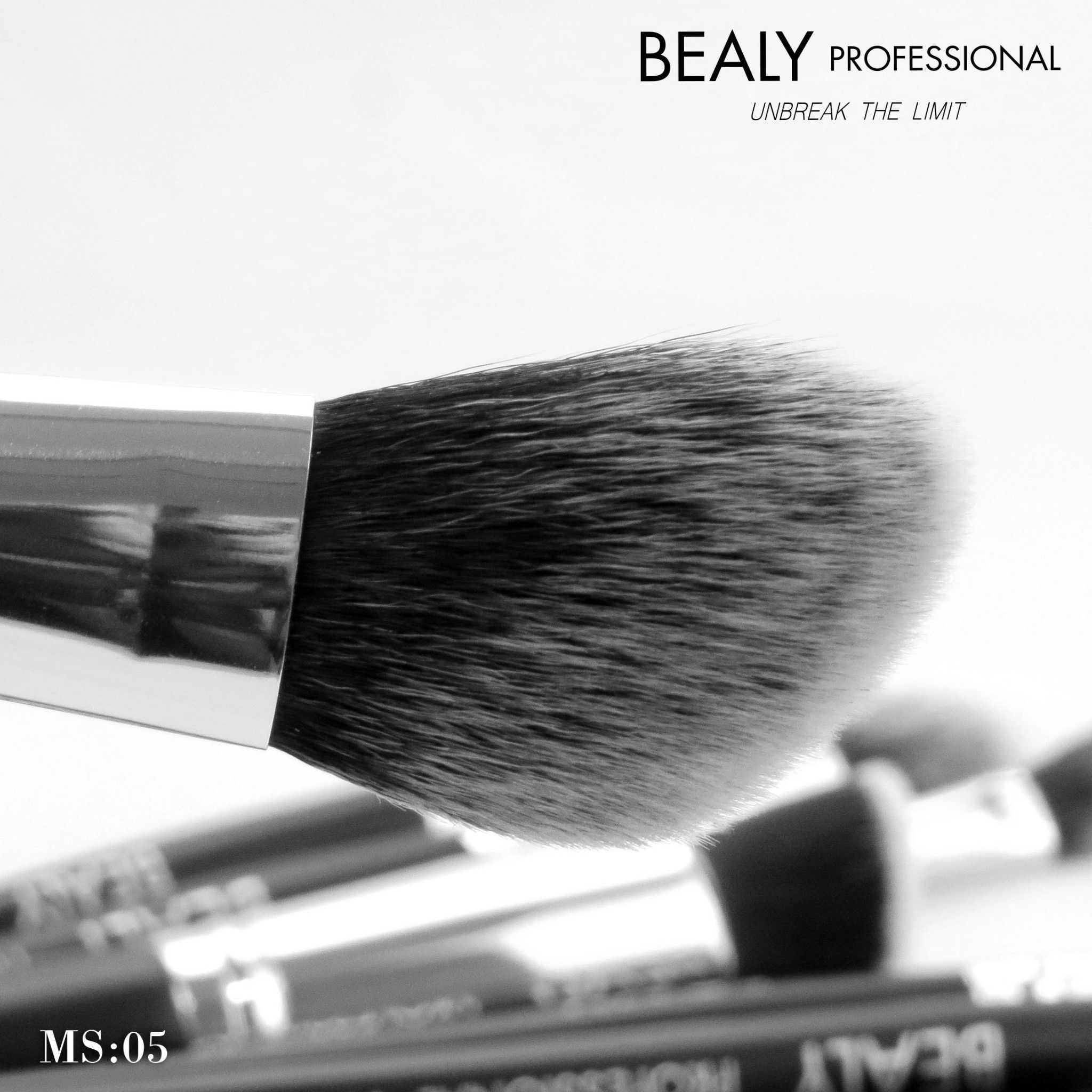 CỌ TẠO KHỐI XẾP LỚP BEALY NO.05