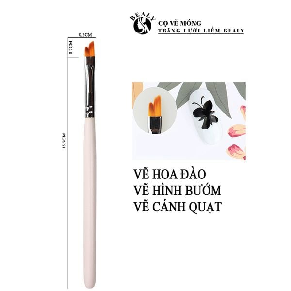 CỌ VẼ MÓNG TRĂNG LƯỠI LIỀM BEALY