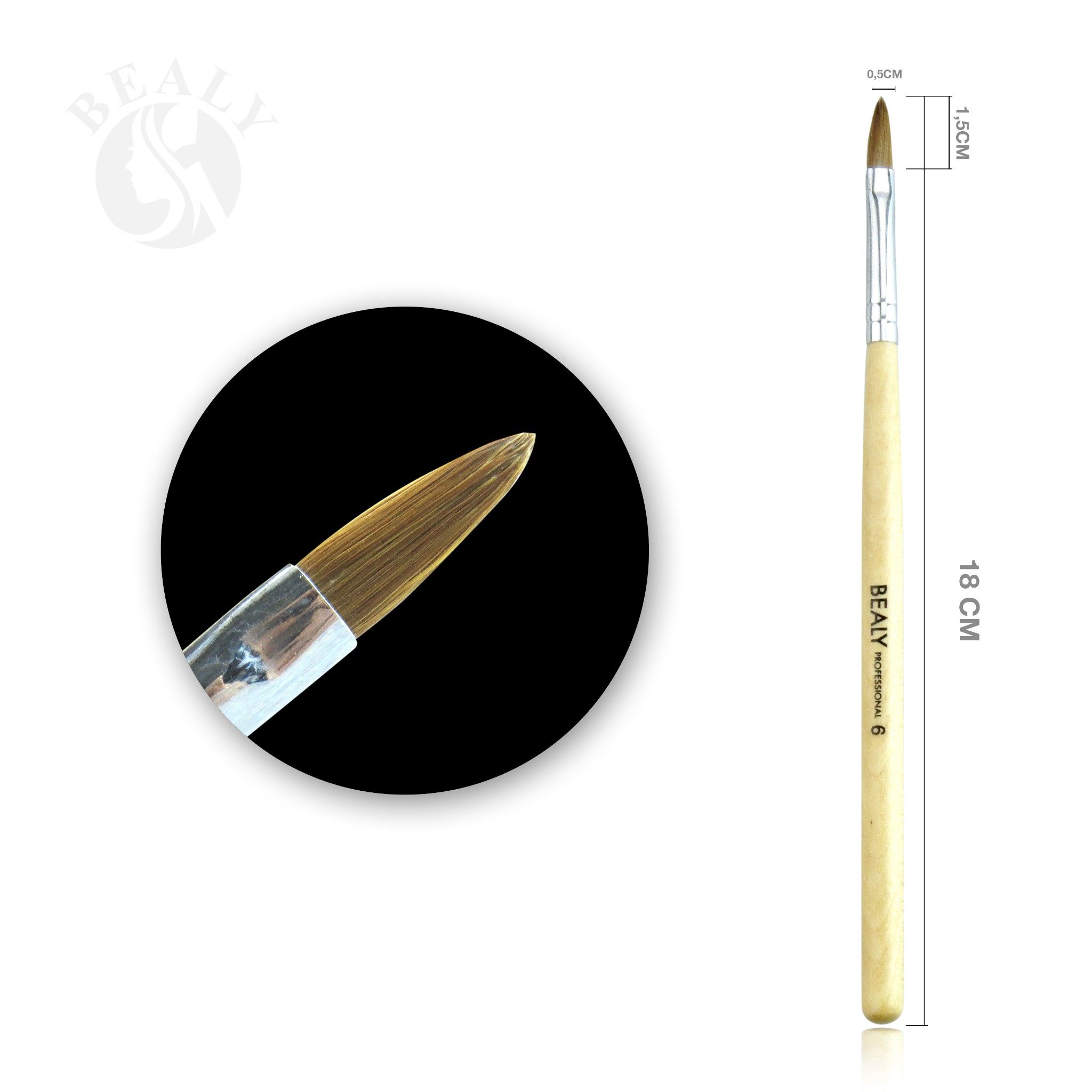 CỌ ĐẮP BỘT LÔNG CHỒN CÁN GỖ BEALY SỐ 6
