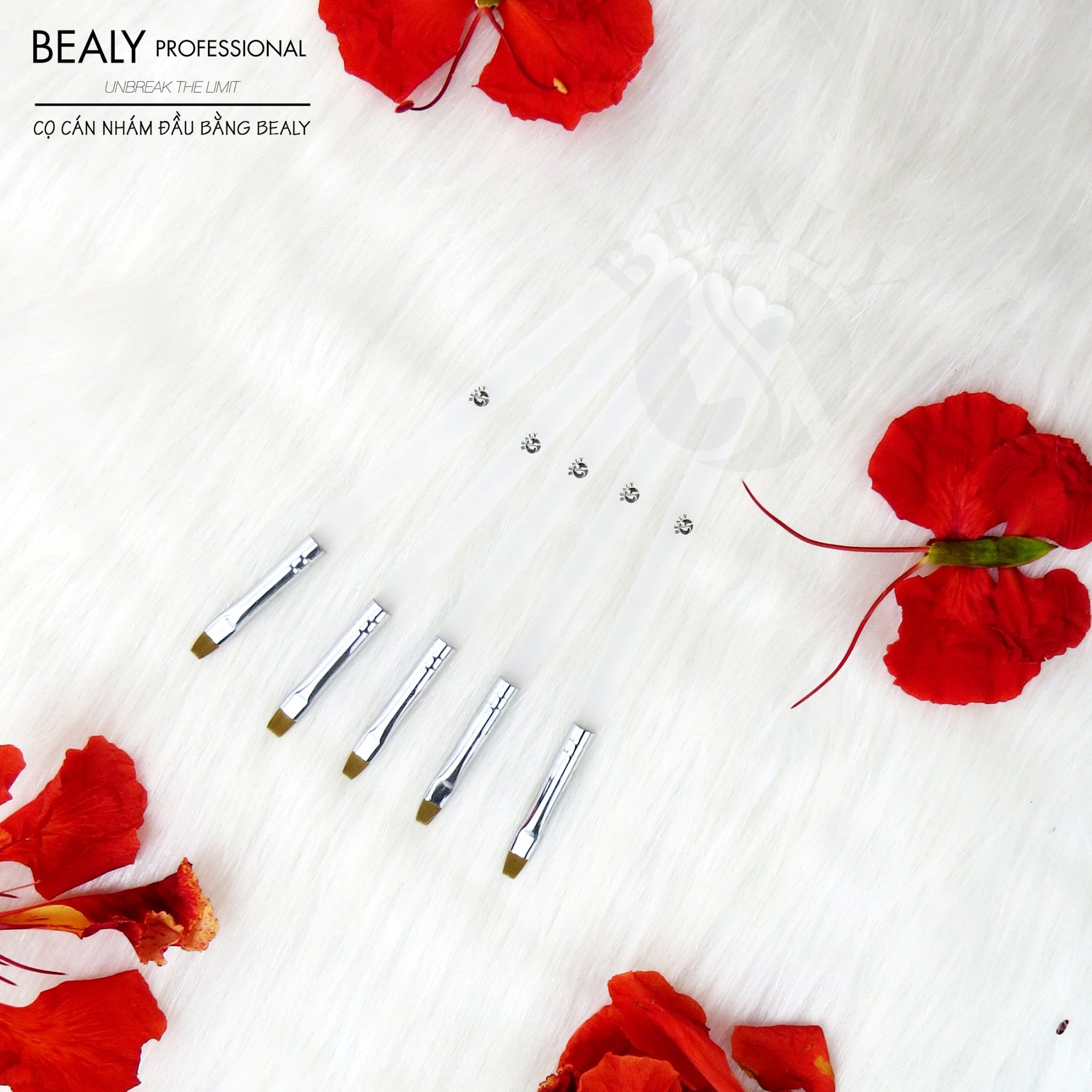 CỌ CÁN NHÁM ĐẦU BẰNG BEALY