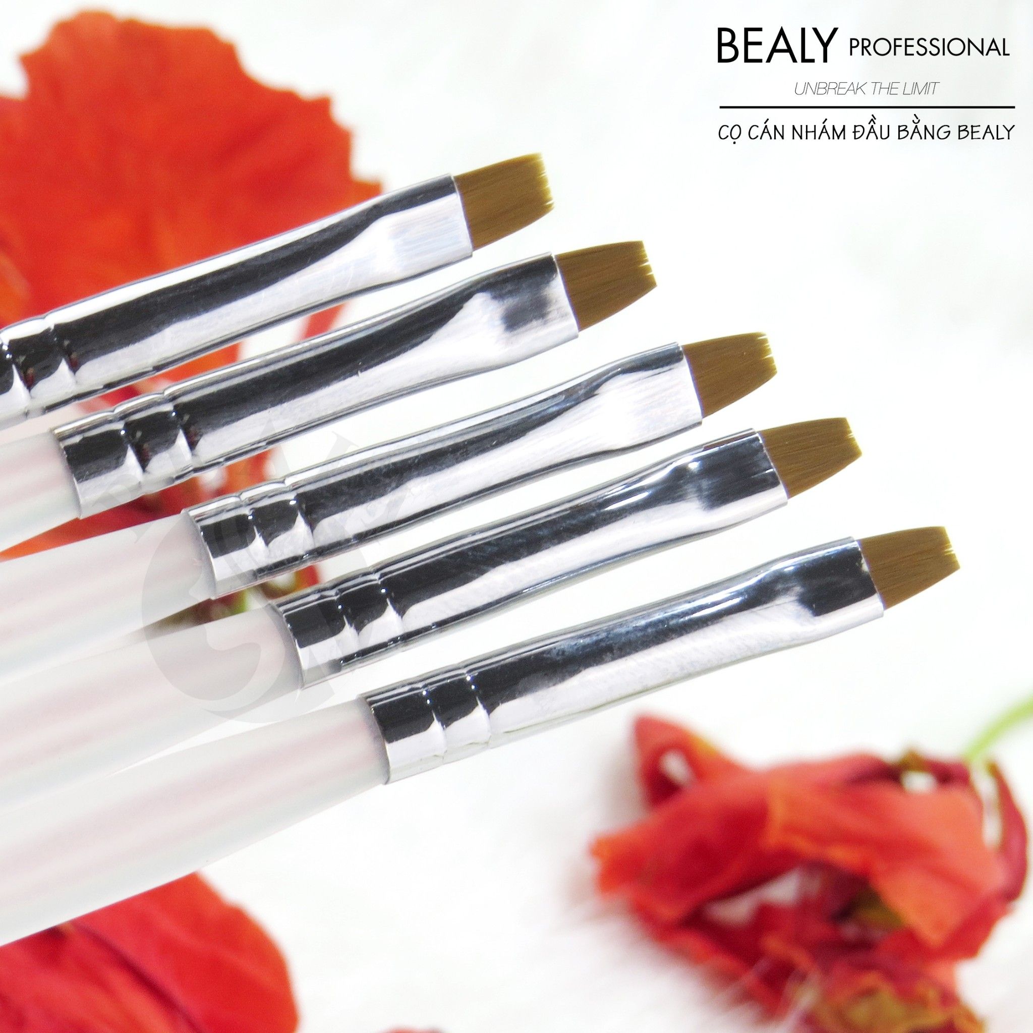 CỌ CÁN NHÁM ĐẦU BẰNG BEALY