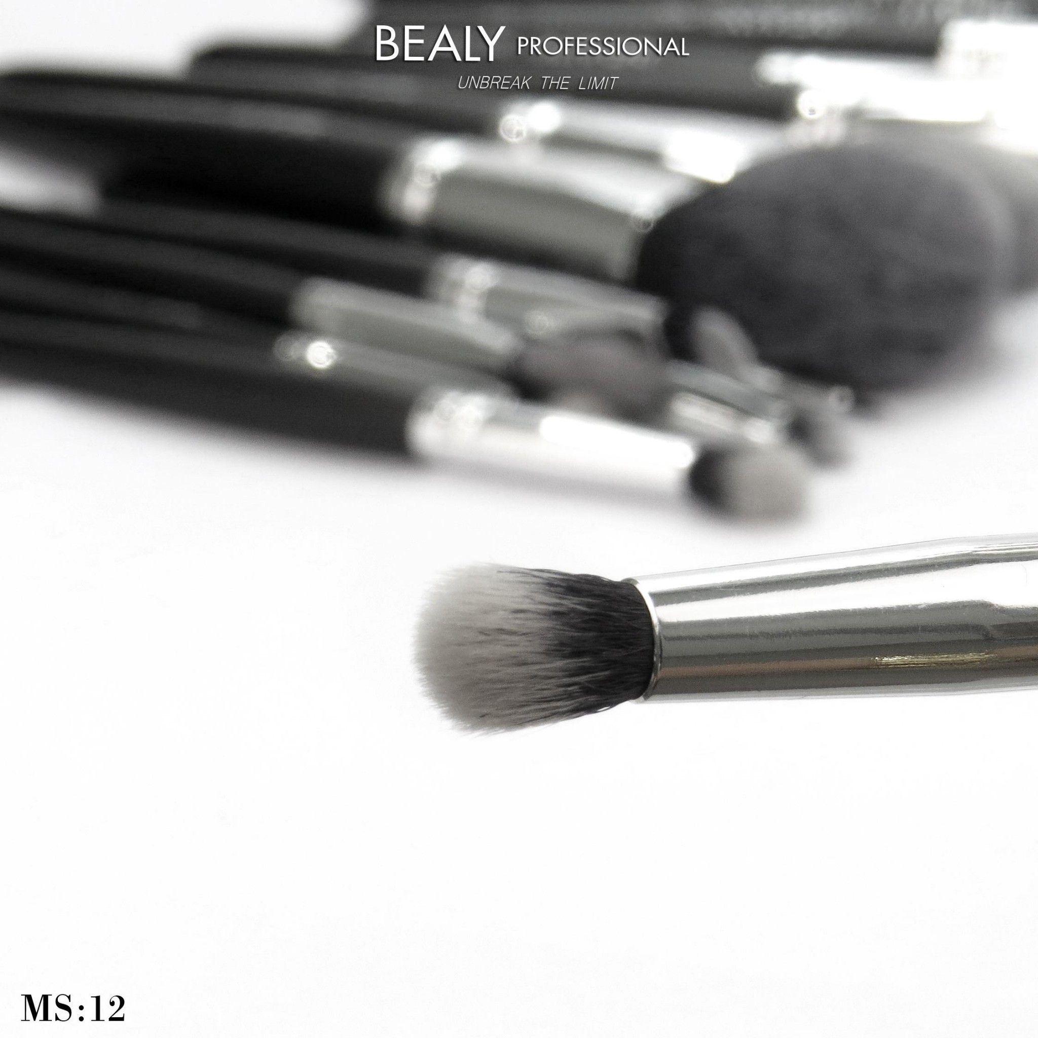 CỌ MẮT XẾP LỚP BEALY NO.12