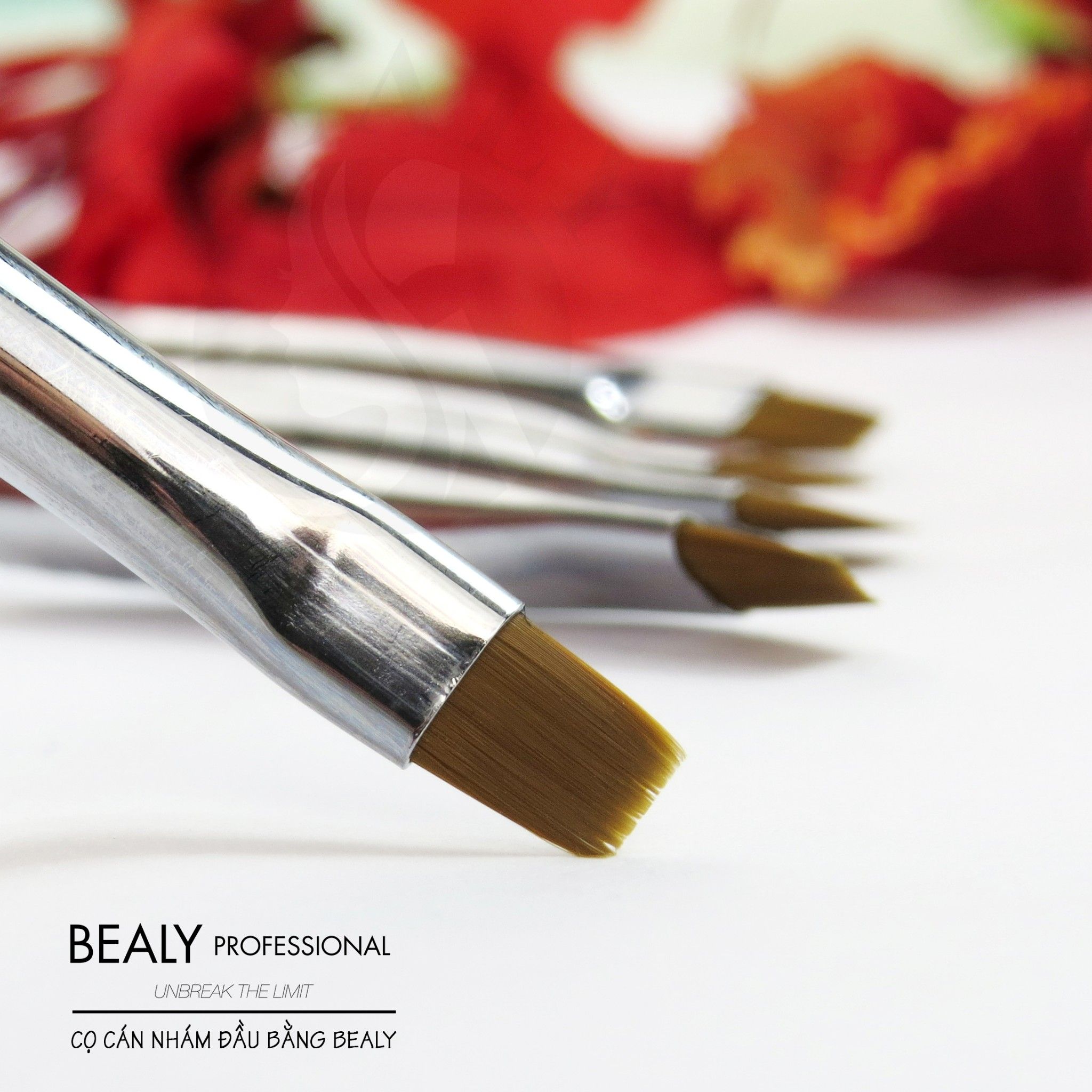 CỌ CÁN NHÁM ĐẦU BẰNG BEALY