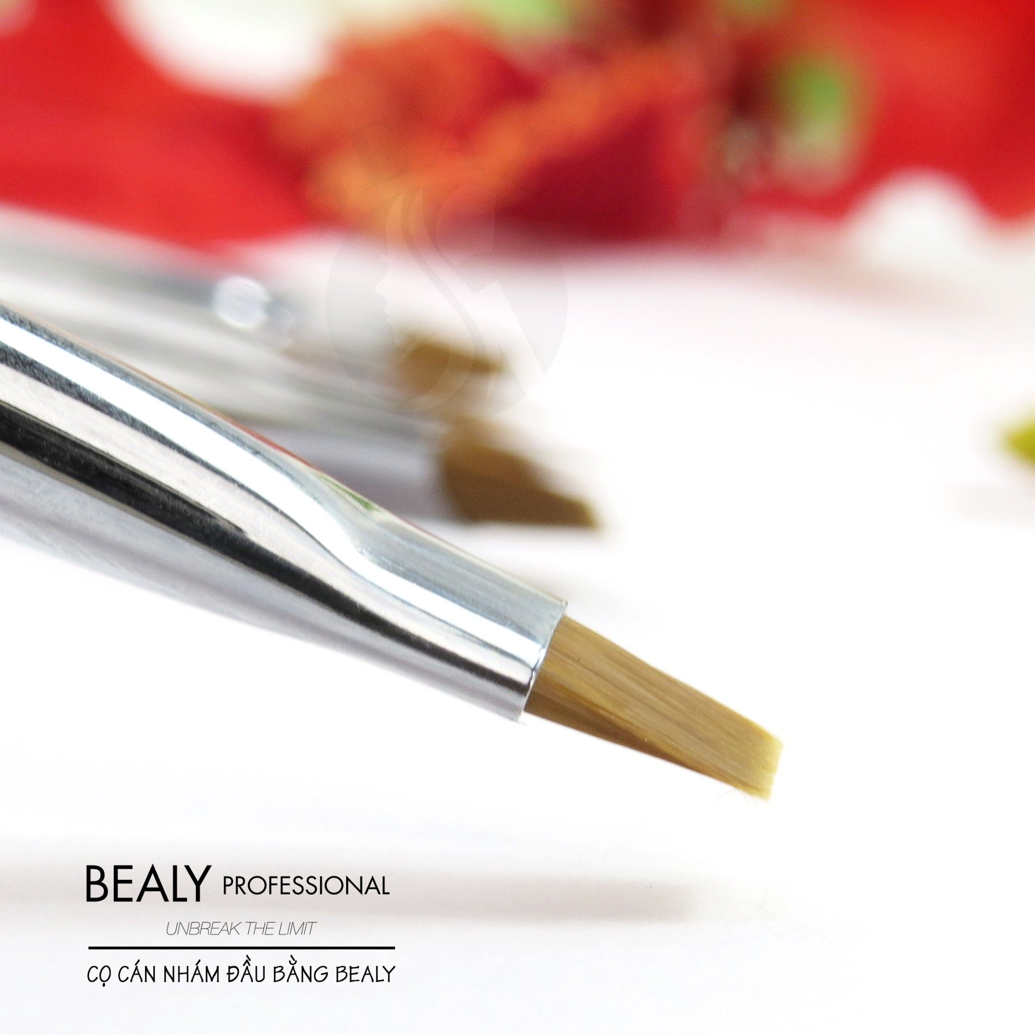 CỌ CÁN NHÁM ĐẦU BẰNG BEALY