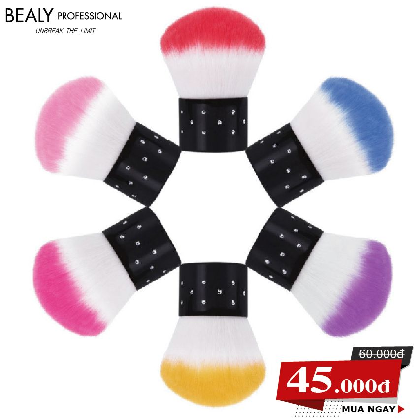 CHỔI QUÉT MÓNG CÁNH HOA BEALY