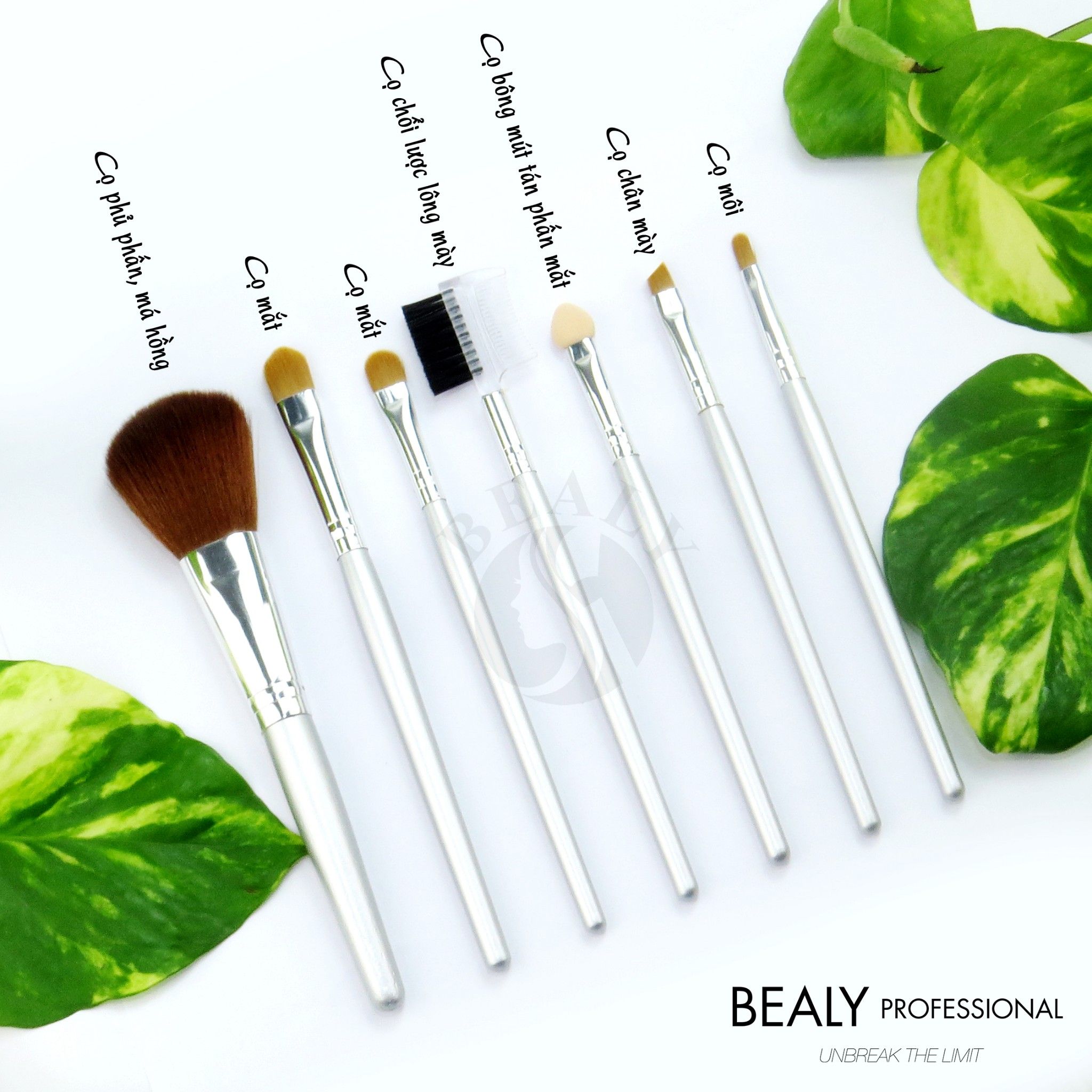 BỘ CỌ TRANG ĐIỂM CÁ NHÂN BEALY 7C