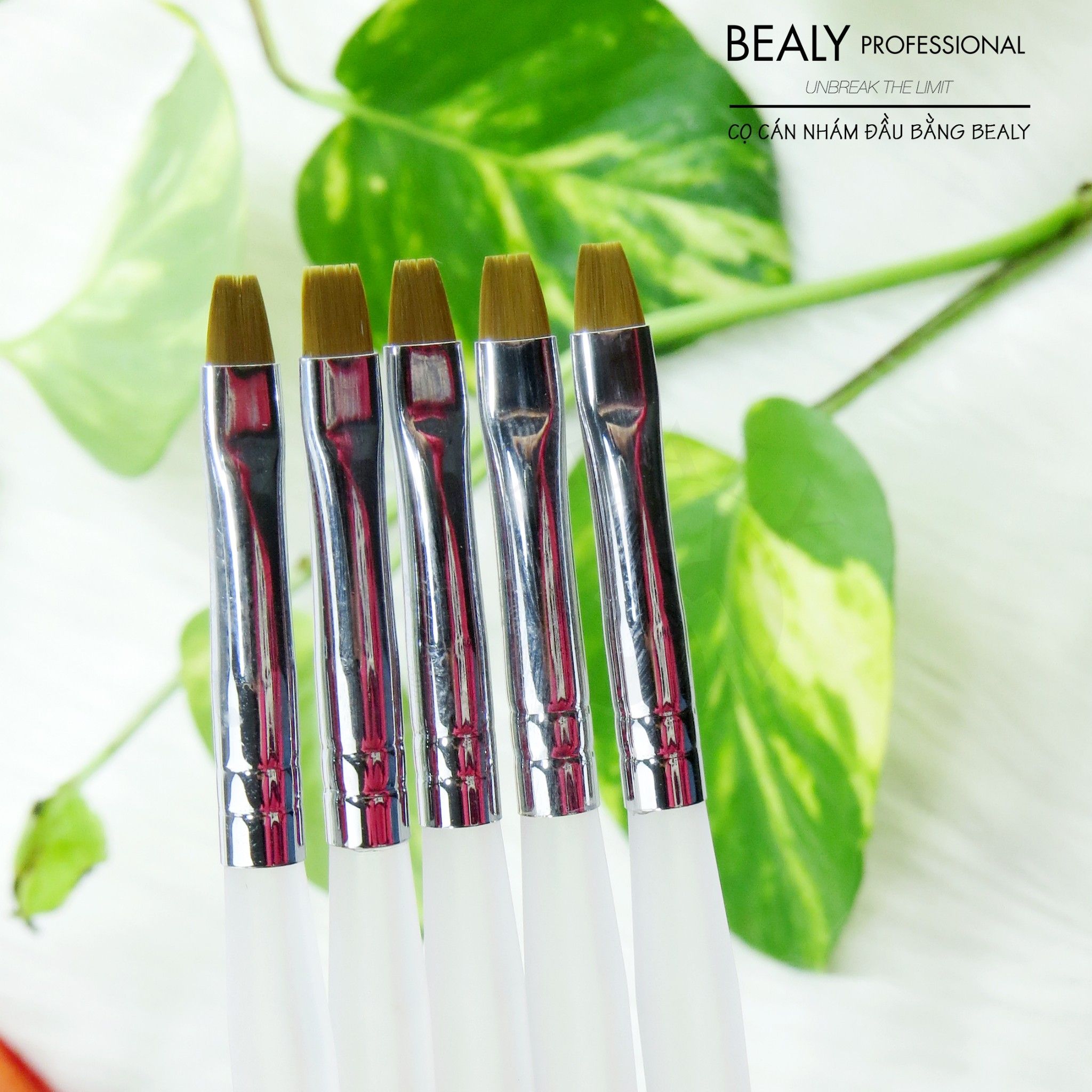 CỌ CÁN NHÁM ĐẦU BẰNG BEALY