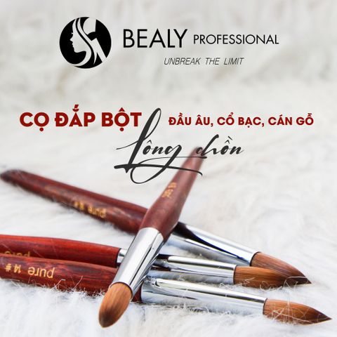  CỌ ĐẮP BỘT LÔNG CHỒN ĐẦU ÂU, CỔ BẠC, CÁN GỖ 