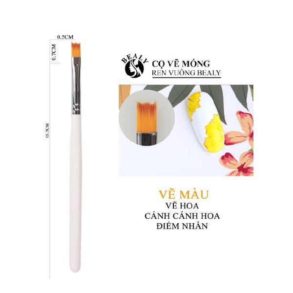 CỌ MÓNG VẼ REN VUÔNG BEALY