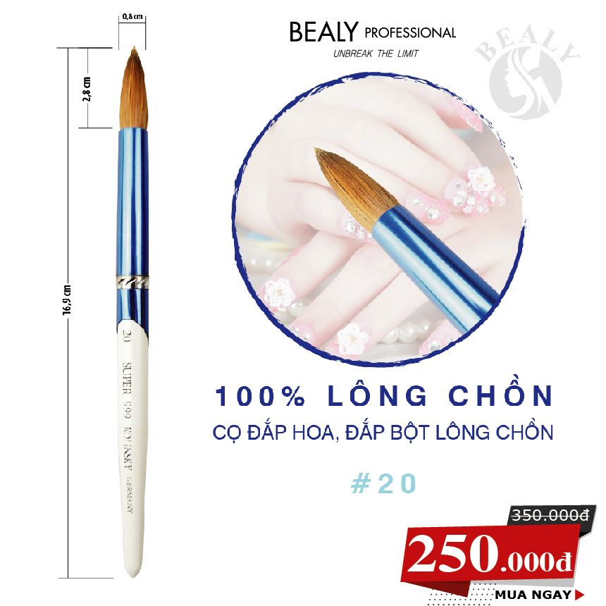 CỌ MÓNG ĐẮP BỘT HOA LÔNG CHỒN BEALY CÁN XANH TRẮNG #20