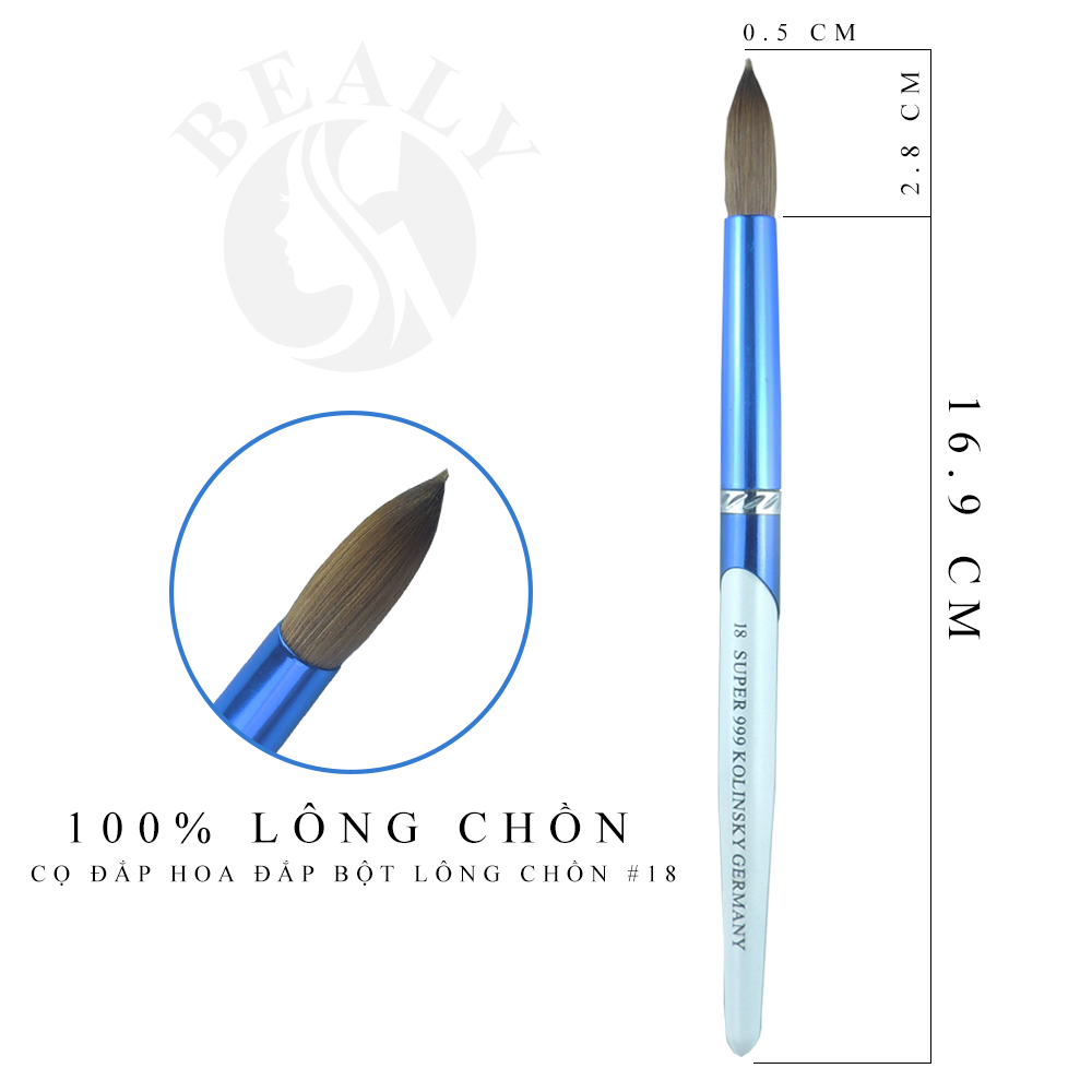 CỌ MÓNG ĐẮP BỘT HOA LÔNG CHỒN BEALY CÁN XANH TRẮNG #18