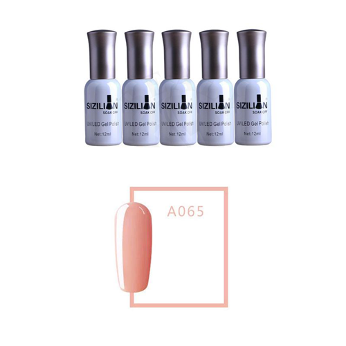 SƠN GEL 65