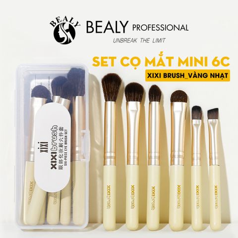  SET CỌ MẮT MINI 6C XIXI BRUSH 