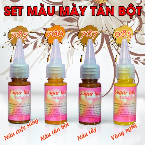 Set 04 màu mày tán bột