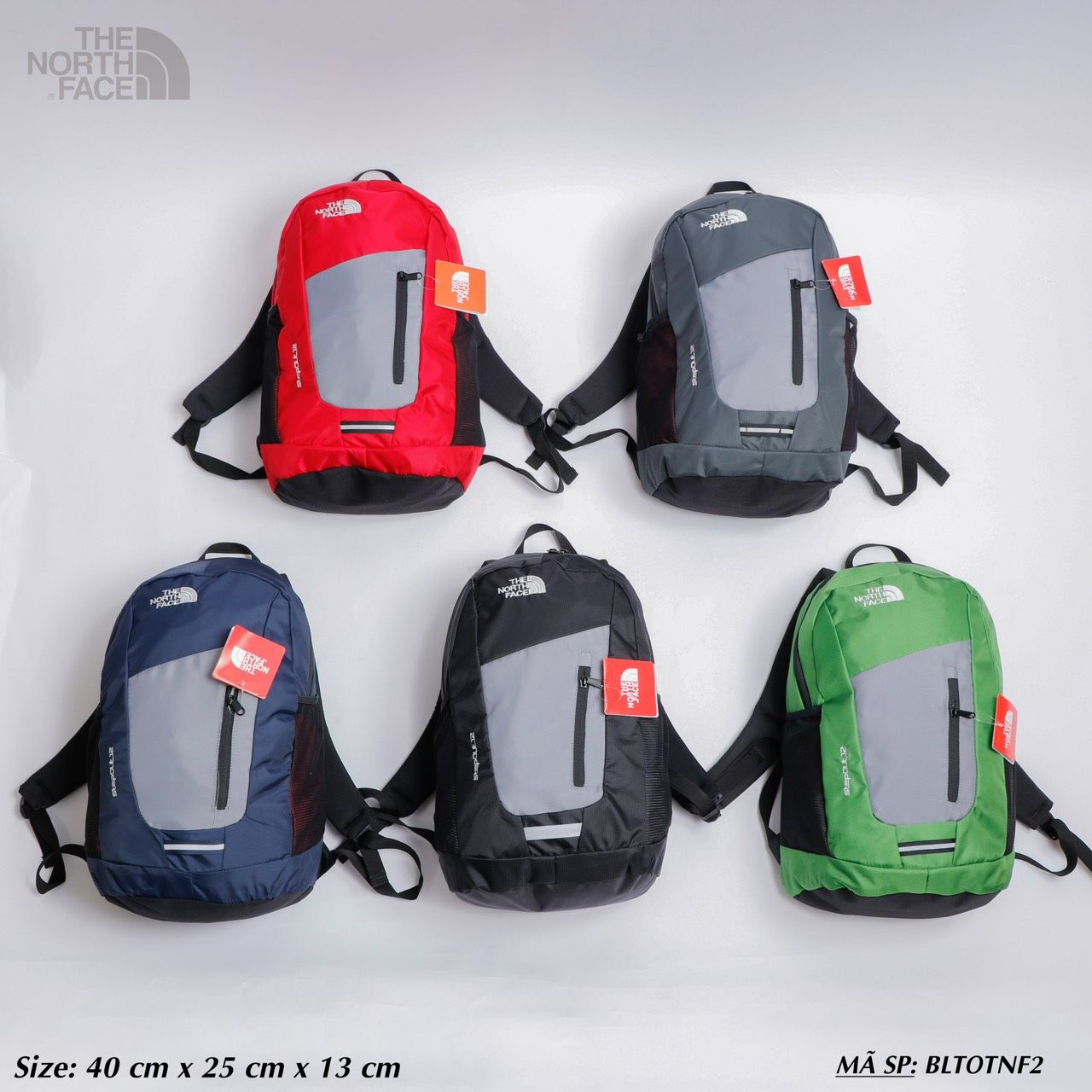 Balo Đi Học Đi Làm THE NORTH FACE STEPOUT 12