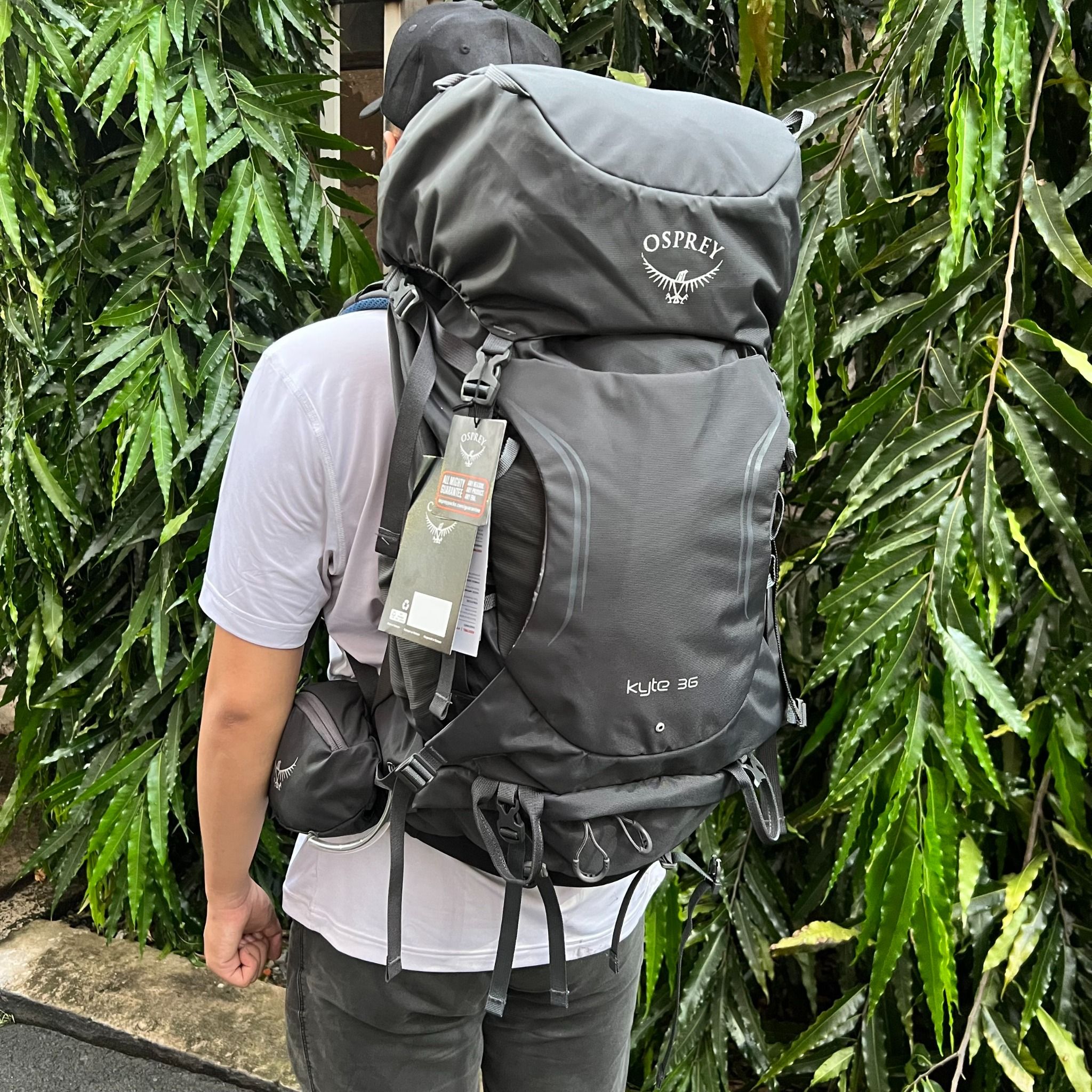 Balo Du Lịch Nữ Osprey Kyte 36