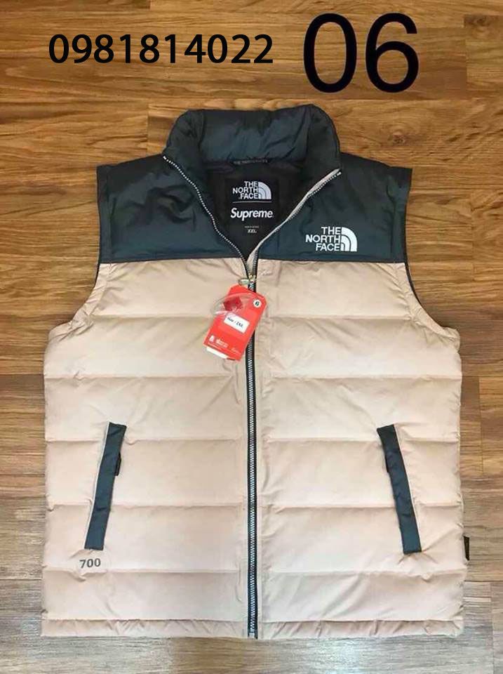 Áo gile nam lông vũ The North Face