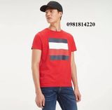  Áo thun Tommy Hilfiger 