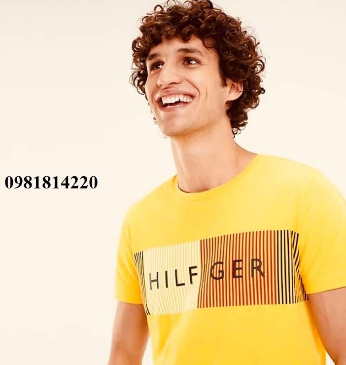 Áo thun Tommy Hilfiger