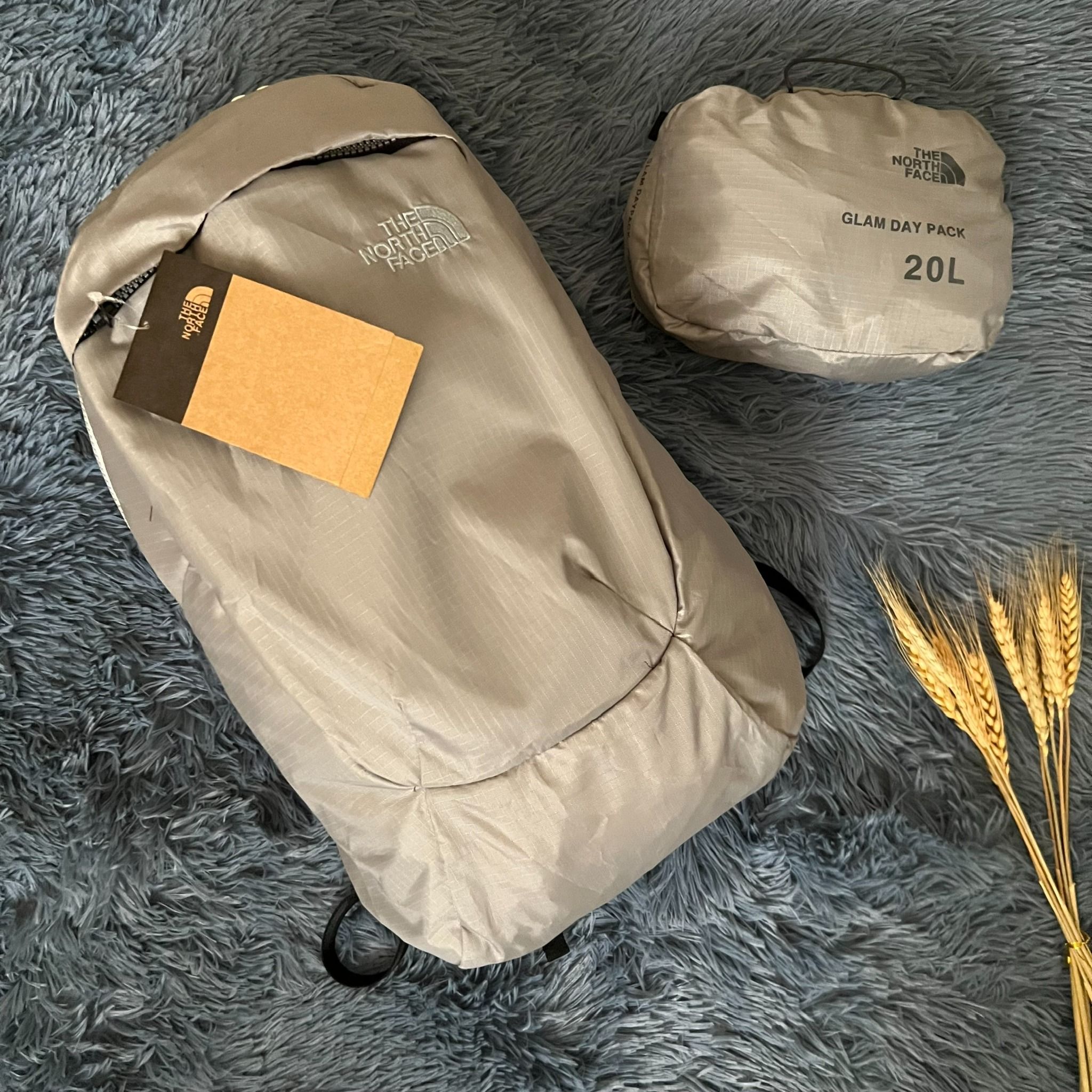  Balo Xếp Gọn THE NORTH FACE GLAM DAY PACK 