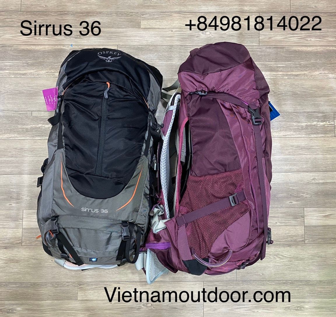 Balo Osprey Sirrus 36