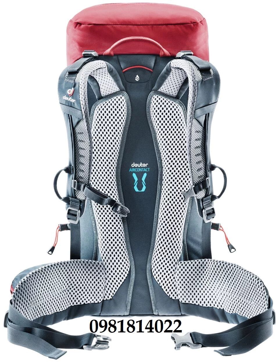 Balo Deuter Trail 30