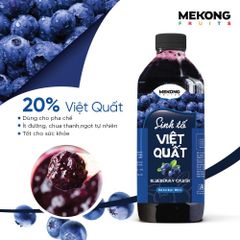 Sinh tố trái cây vị Việt Quất (950 ML) Mekong Fruits