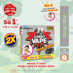 Nhang trừ muỗi JUMBO VAPE 10 Khoanh