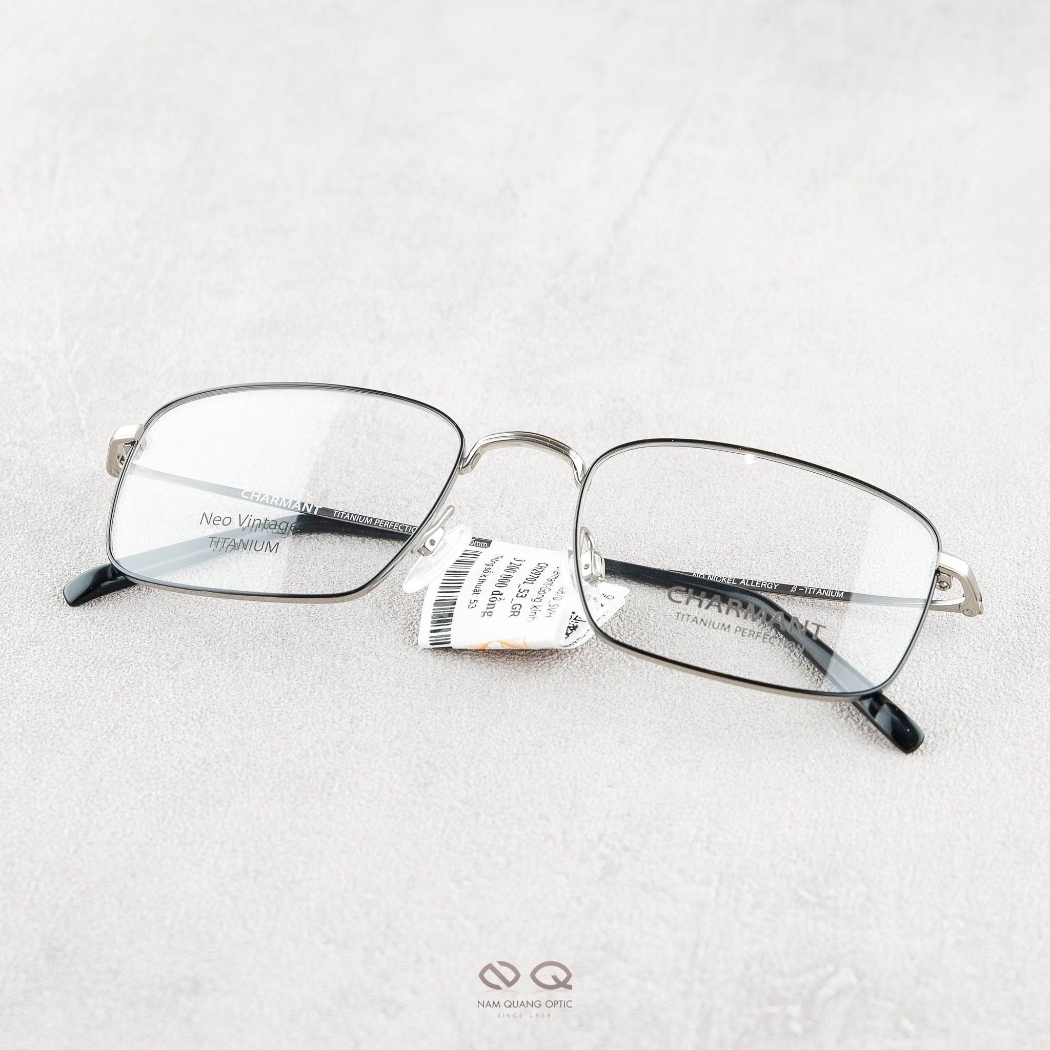 Gọng Kính Charmant 29701