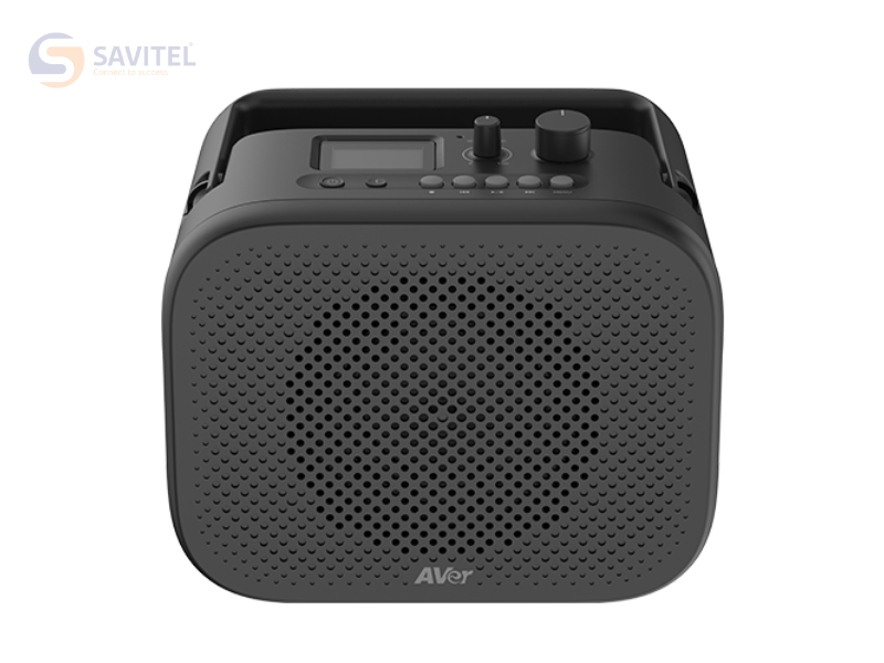 AVer AmpliWave Go
