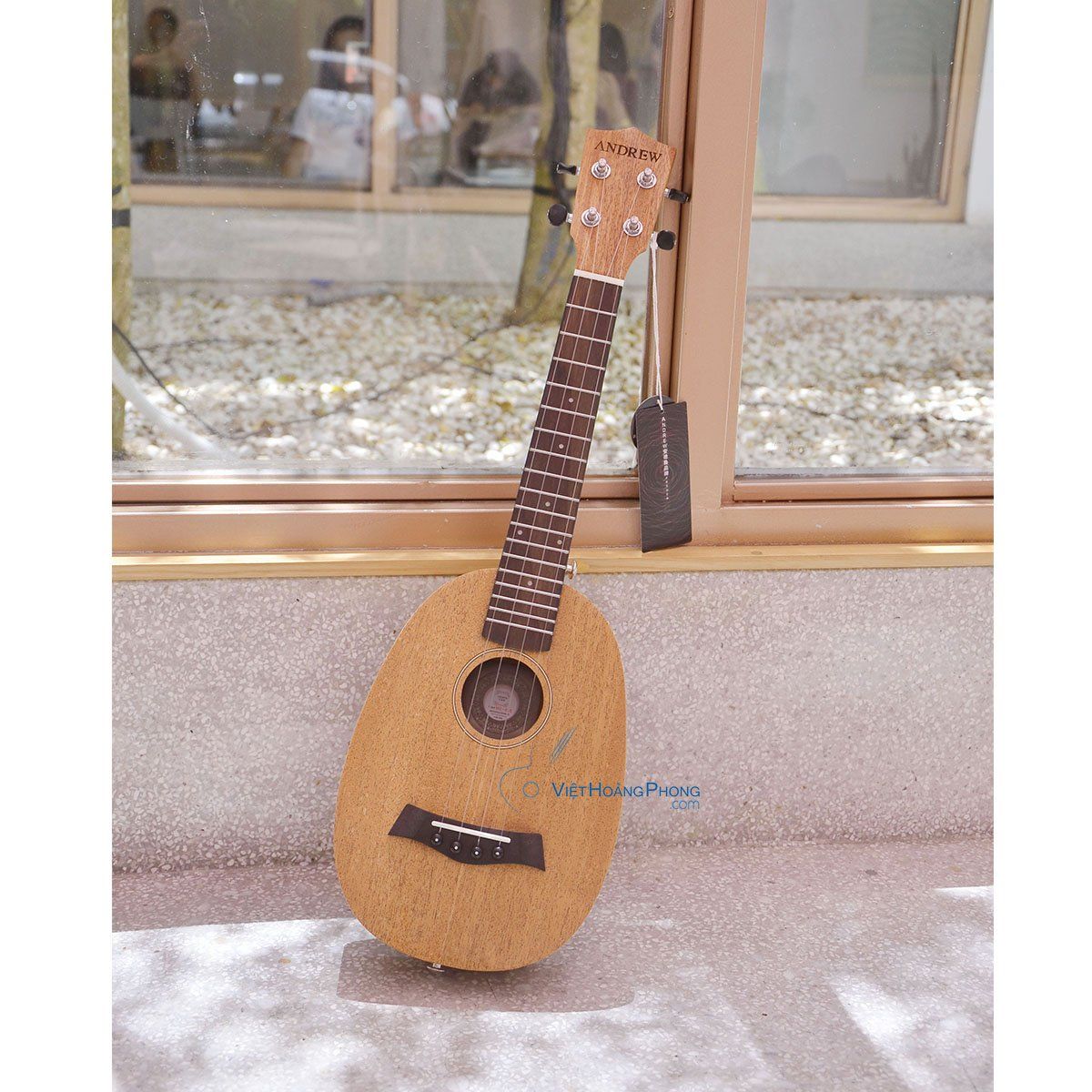 Đàn Ukulele Concert Andrew (Mỹ) MZ- 655 dáng bầu dục - Đàn Ukulele Dưa hấu
