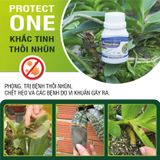  PROTECT ONE - KHẮC TINH CỦA THỐI NHŨN 