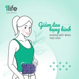  COMBO GIA ĐÌNH: 5 LOẠI GỐI CHƯỜM THẢO MỘC 