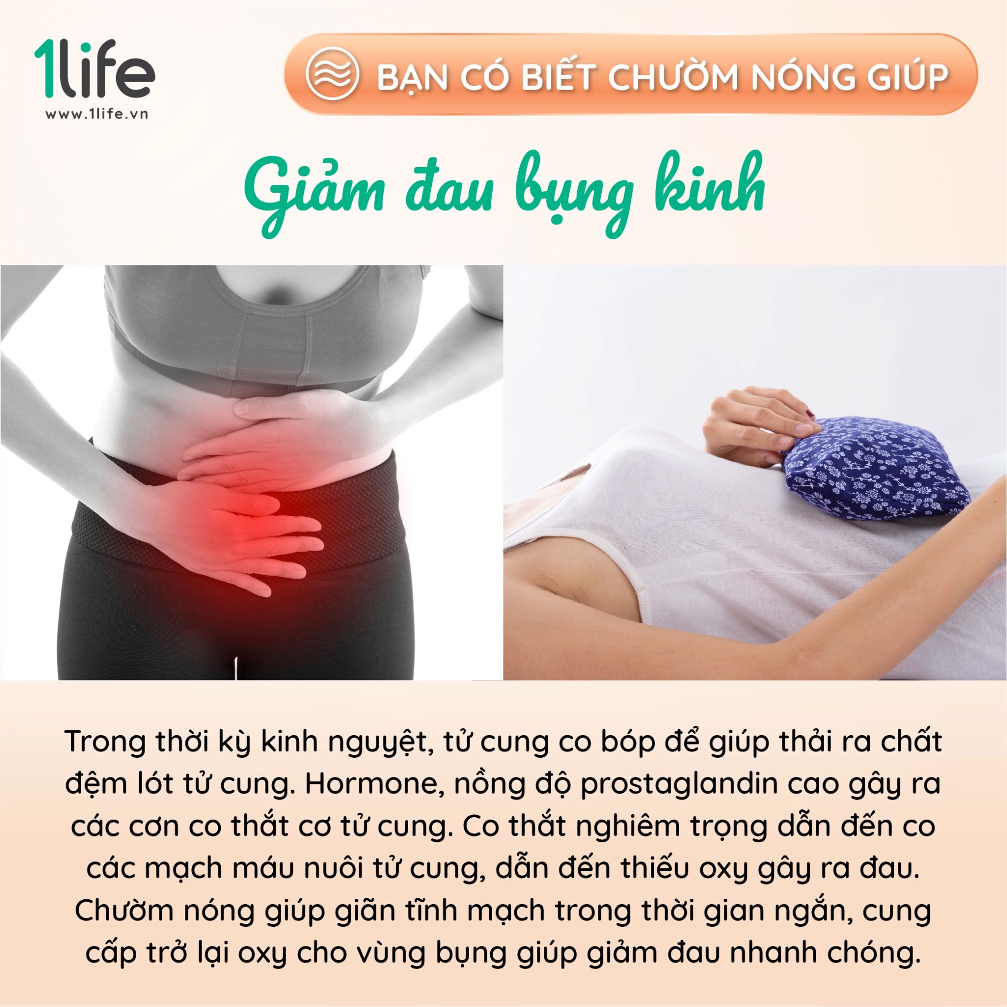  Gối chườm thảo mộc cơ bản 