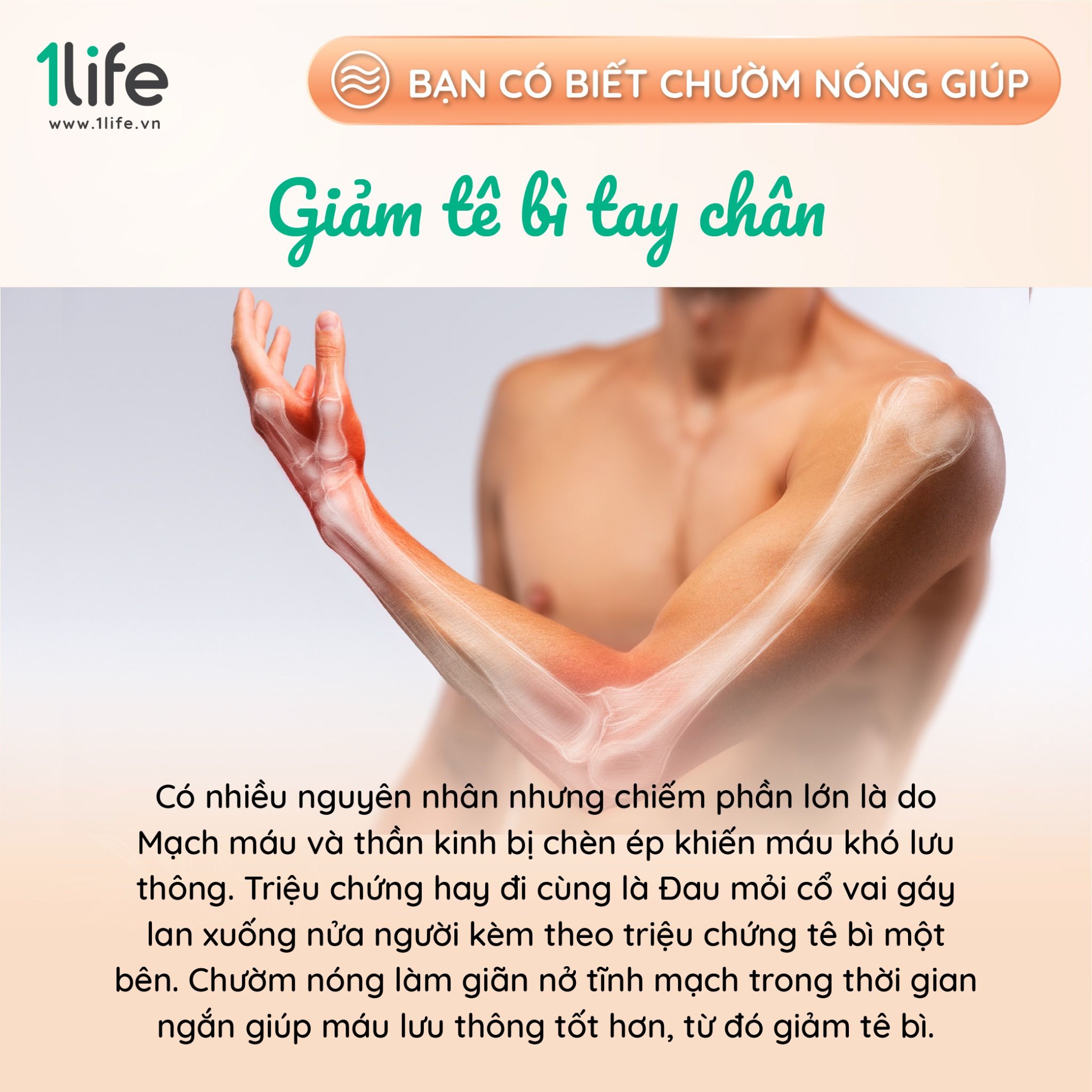 Gối chườm thảo mộc cơ bản