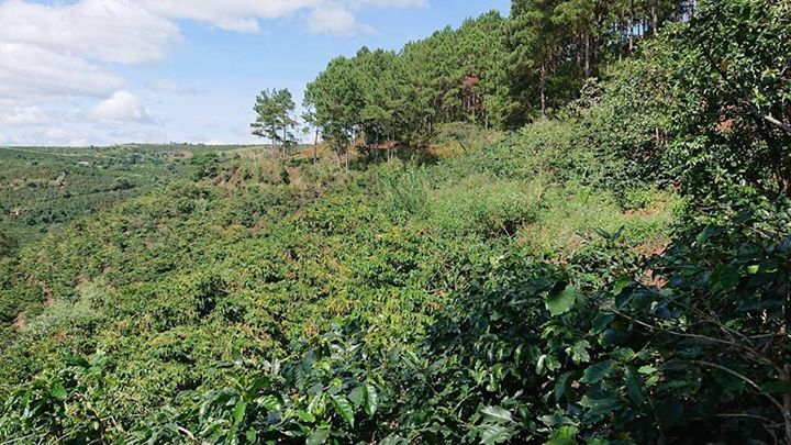 Bán Đất thôn Phú Hòa, xã Phi Tô, huyện Lâm Hà, Lâm Đồng 3729m 3,9 tỷ Đ3253