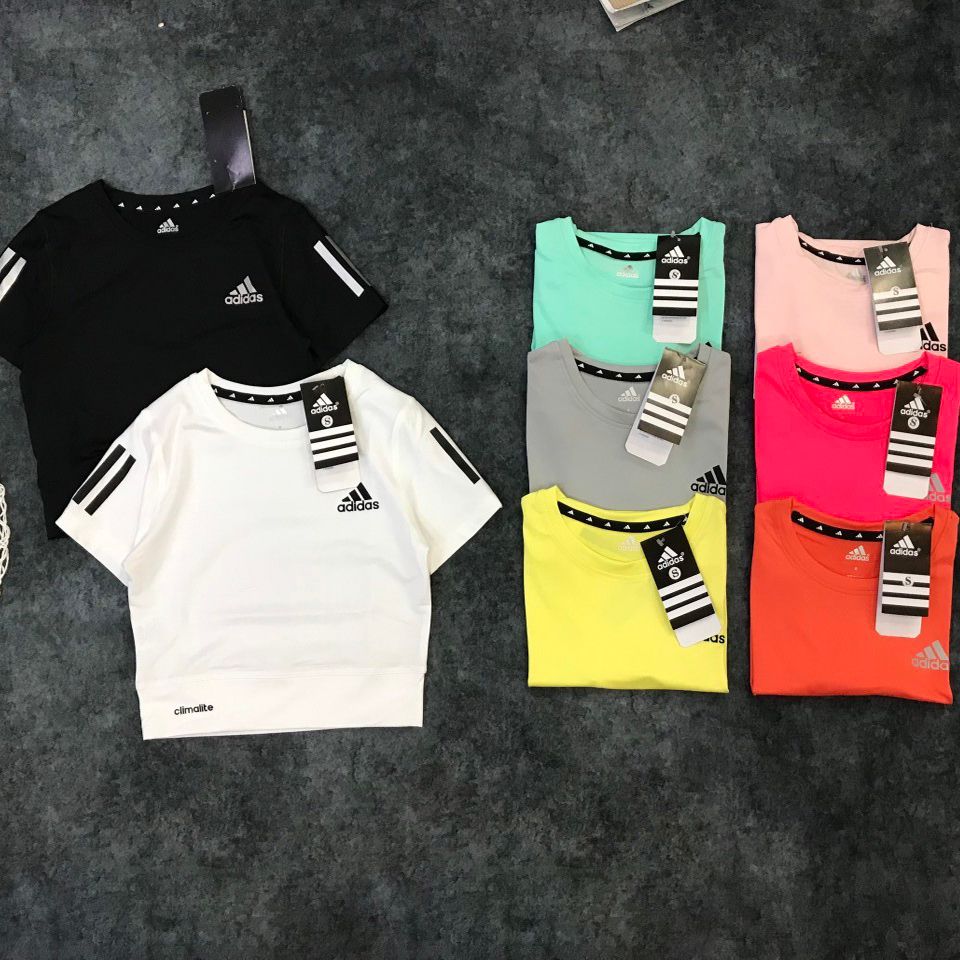 Áo crop top Adidas bo eo