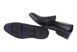 [MẪU ĐỘC QUYỀN] Giày Loafer Cổ Điển Pierre Cardin - PCMFWLG 745