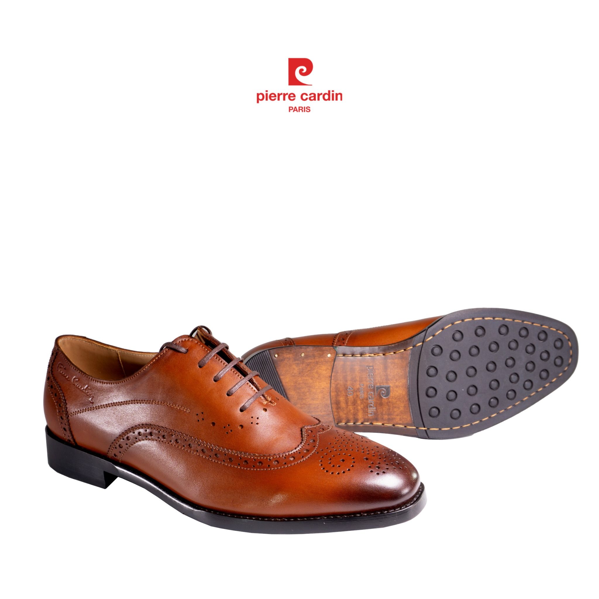 Pierre Cadin Paris Vietnam: Brogue Oxford Shoes - PCMFWLG 357 (GOLD)
