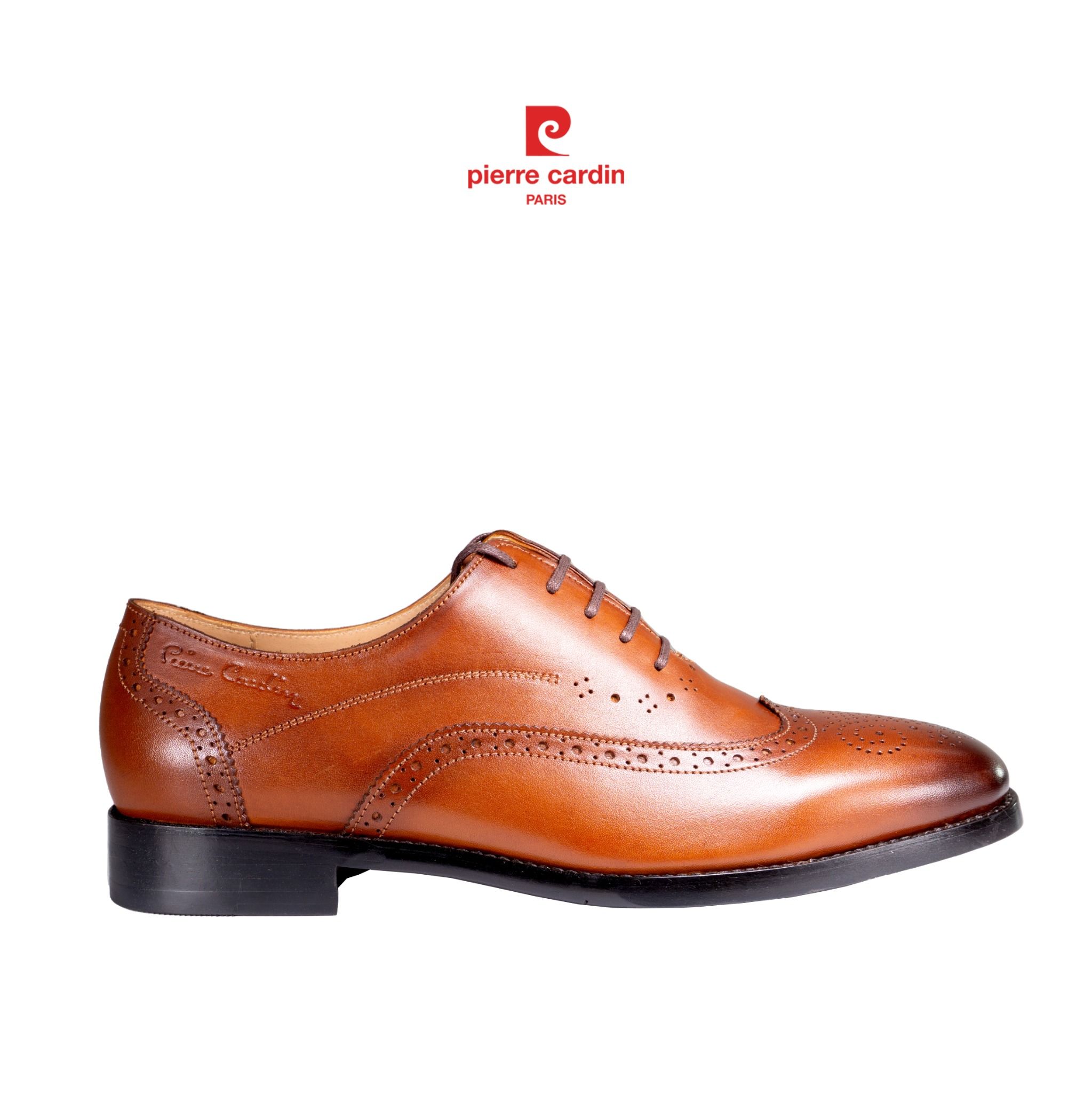 Pierre Cadin Paris Vietnam: Giày Brogue Oxford - PCMFWLG 357 (GOLD)