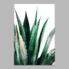 Tranh Canvas Cactus Leaves Alila (60x90cm)