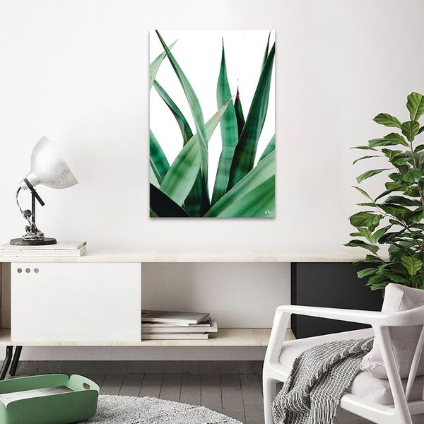 Tranh Canvas Pineapple Leaves Alila (60x90cm)