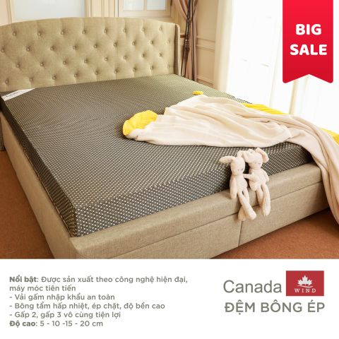 ĐỆM BÔNG ÉP CANADA WIND